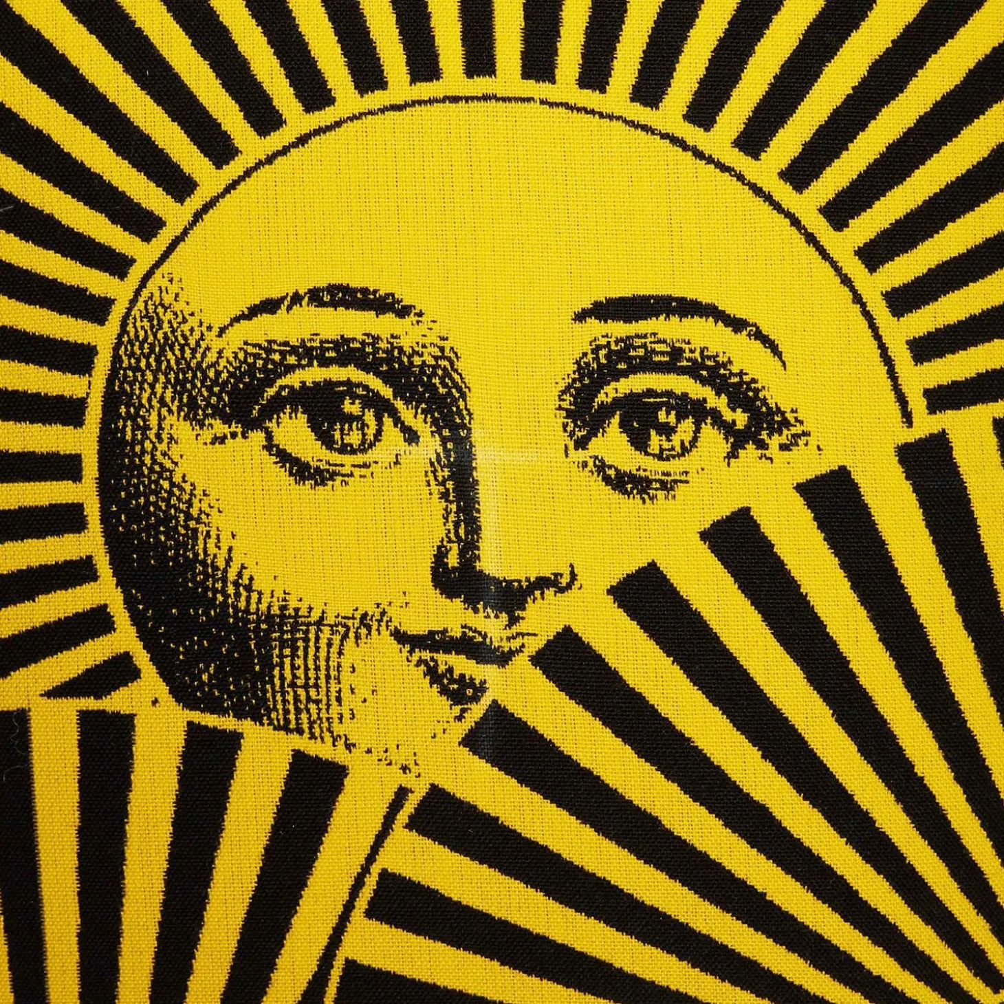 cuscino_da_esterno_soli_a_2-1.webp Fornasetti Cuscino Da Esterno Soli A Ventaglio^ Cuscini