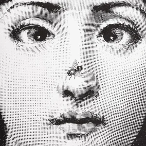 Fornasetti Scimmia Cuscino^ Cuscini