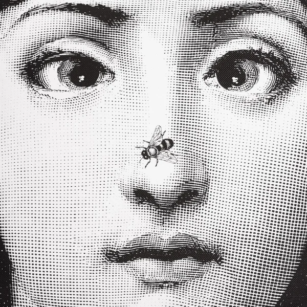 Fornasetti Scimmia Cuscino^ Cuscini